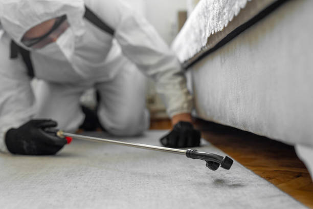 Professional Termite Control technician working in Kerens, TX