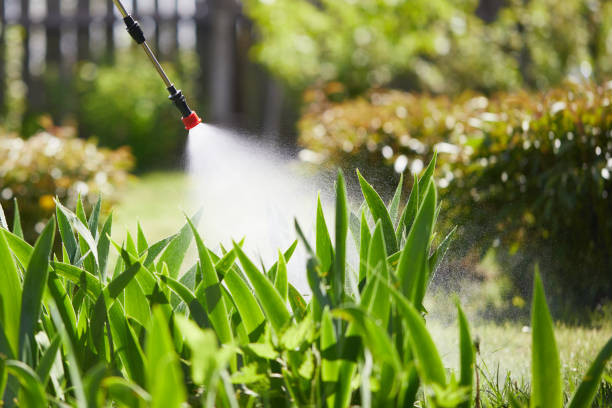 24/7 Emergency Termite Control experts in Kerens, TX