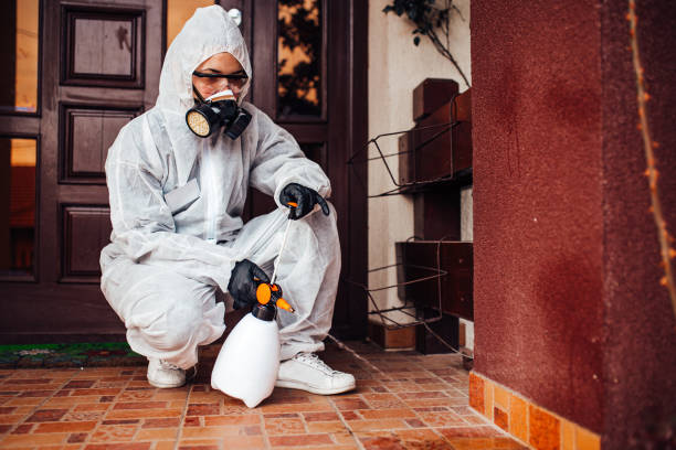 Reliable Termite Control contractor in Kerens, TX by Nex Pest Control
