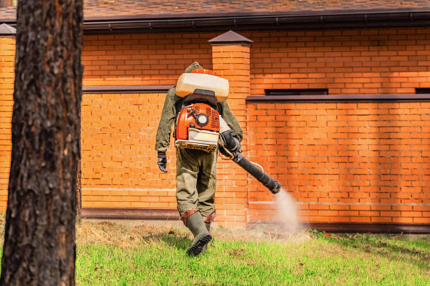 Trusted Cockroach Control service in Kerens, TX - Nex Pest Control